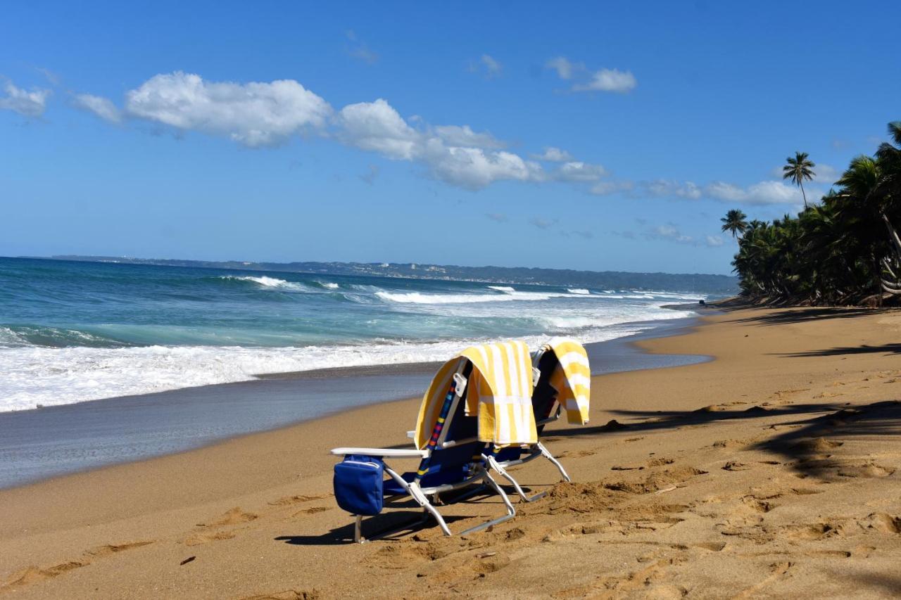 The Beach Pad Puntas Rincon Dış mekan fotoğraf